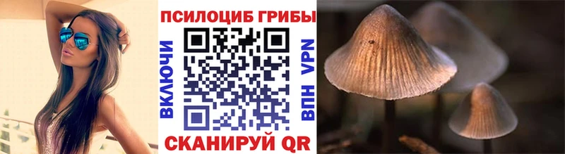 закладка мега сайт Псилоцибиновые грибы Cubensis Кадников